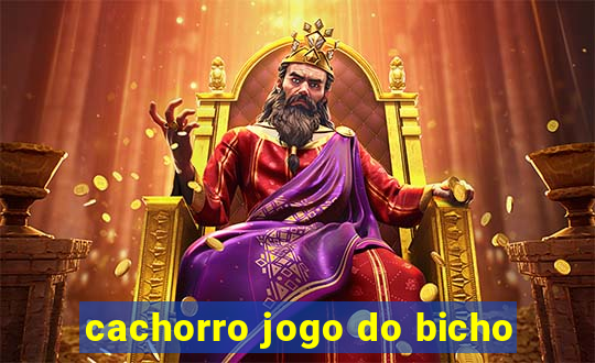 cachorro jogo do bicho